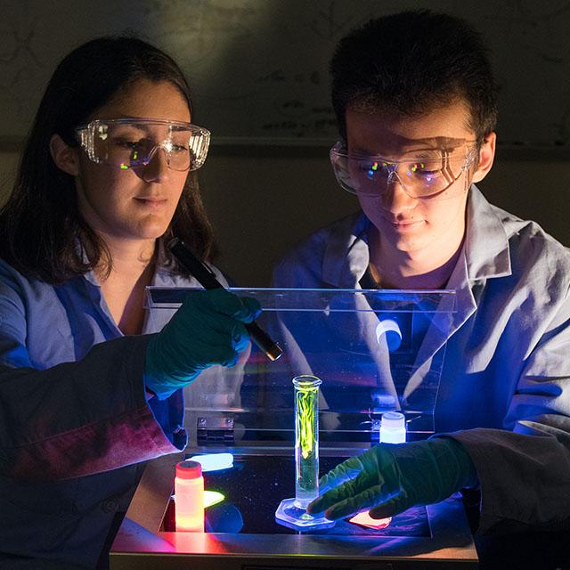 Students observing fluorescent liquid in a beaker